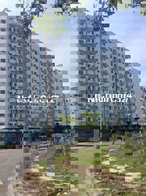 CHÍNH CHỦ CẦN BÁN CHUNG CƯ 12T – SƠN TRÀ