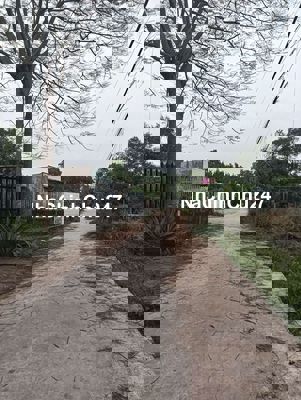 Đất Dân chính chủ 818M đường Hùng Vương, xã Phước An, giá đầu tư