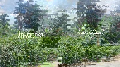 Chính chủ ngộp cần bán gấp đất tặng nhà Q9