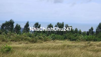 Chính chủ cần bán 3,8 ha thành phố Tuy Hòa