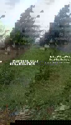 Chính Chủ Cần Bán Gấp _ Giá Tốt