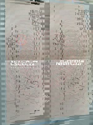 Chính chủ cần bán đất nn 1994m2, ngay sảnh cưới Hạnh Nữ, giá 2 tỷ TL