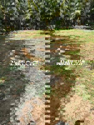 MẶT TIỀN —THỔ CƯ -CHÍNH CHỦ -890tr/1NỀN !!! CÔNG CHỨNG NGAY !!!!