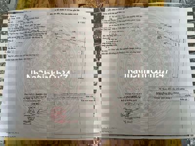 🆘 CHỦ NGỘP – CẦN RA GẤP LÔ ĐẤT THỊ TRẤN PHƯỚC VĨNH, PHÚ GIÁO🆘