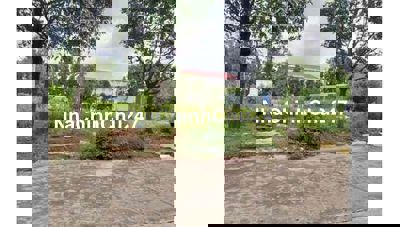 Chủ Cần TIền Bán Gấp Đất 300m2-650Tr Gần Chợ Thới Hoà,Bến Cát Sổ Sẵn