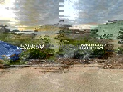 chủ cần bán giáp chủ