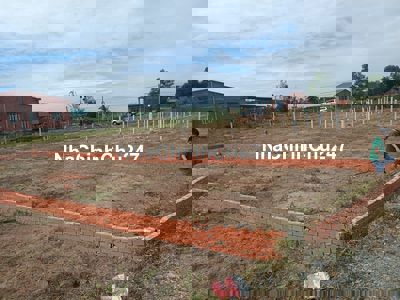 CHÍNH CHỦ CẦN BÁN GẤP LÔ ĐẤT GÒ DẦU