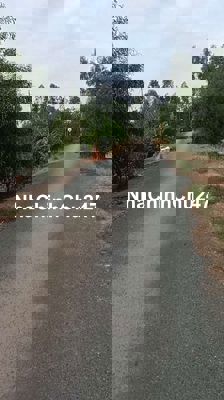 Bán đất chính chủ 1746m² xã Tân Bình Tân thạnh, lòng an giá 460tr