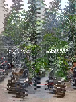 Bán nhà cấp 4 (chủ yếu bán đất) - 113m2 - tiện xây mới