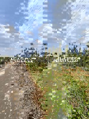 Đất xã Xuân Sơn, Châu Đức, Bà Rịa Vũng Tàu có 150m2 thổ cư, Chính chủ