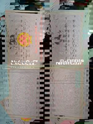 Đất sổ hồng chính chủ huyện Châu Thành, Long An