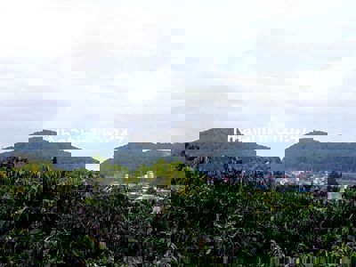 CHÍNH CHỦ CẦN TIỀN BÁN GẤP ĐẤT