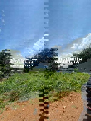 Chính chủ cần bán đất Bình Phước