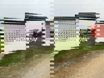 Chính chủ bán đất thổ cư 147m² Hậu Nghĩa, Đức Hòa, giá 850tr