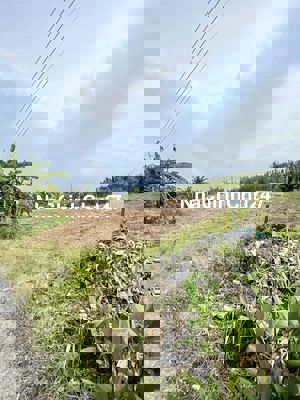 Bán đất mặt tiền Đôi Ma chính chủ (lộ nhựa xe tải)