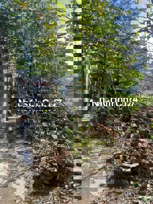 100m2 đất kiệt Trường Chinh