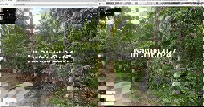 Lộ Ba Hạt, HL 22, dt 6000 1,2ty/c- chinh chủ