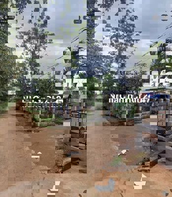 CHÍNH CHỦ BÁN ĐẤT THỔ CƯ NGÃI GIAO – 435M² – 4,5 TỶ