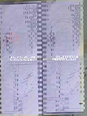 Cần bán đất ruộng, chính chủ sổ riêng gần vành đai 3