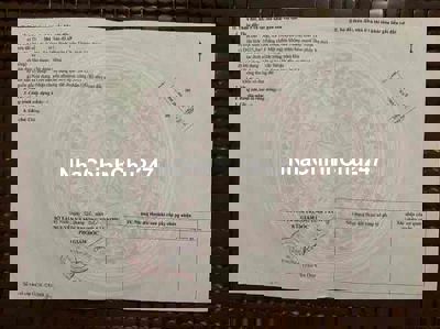 Chính chủ cần ra nhanh đất CLN DT 15x68 Xã Thái Bình(cũ)