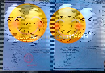 ĐẶC BIỆT CỦ CHI CHÍNH CHỦ, ĐẤT Full thổ, đường nhựa, SHR, Hổ trợ bank