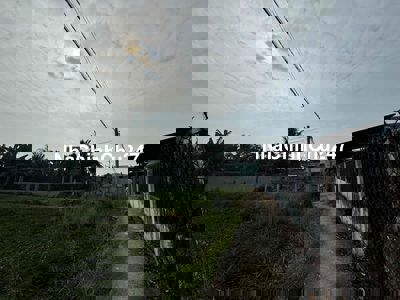 Đất thổ cư 350m2 DT827D Tân Trạch Cần Đước Long An cần bán chính chủ