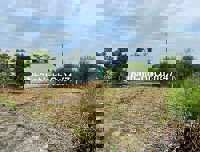 Nền thổ cư chính chủ tân thới phong điền