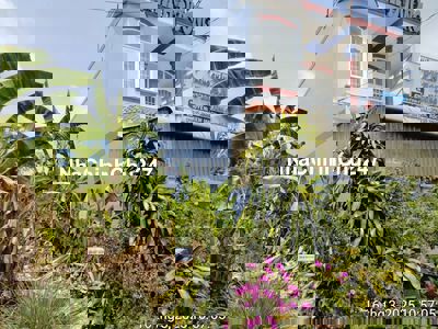 Chính chủ Bán đất thổ cư 5x20 TT Thạnh Hoá