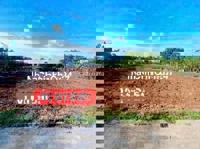 Chủ hạ giá gấp trong Tết 1 sào -100 TC - Làm Nhà Vườn