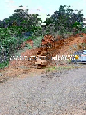 Đất mặt tiền đường nhựa, ô tô vào tận nơi, view đẹp, sổ hồng chính chủ