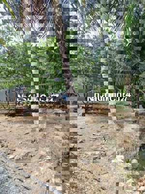 Kẹt tiền cần bán đất chính chủ.