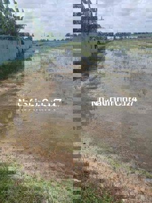 cần bán đất sổ hồng riêng chính chủ