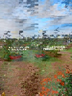 Cần bán đất chính chủ