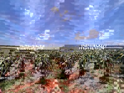 Chính chủ đầu năm bán gấp lô đất vườn Hoà Thắng