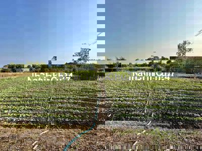 Chính chủ cần bán lô đất diện tích 2,1 sào ấp 1 xuân tây cẩm mỹ