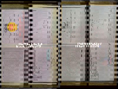 Chính chủ Bán nhà mặt tiền view cánh đồng Thôn Quang Châu 377m2