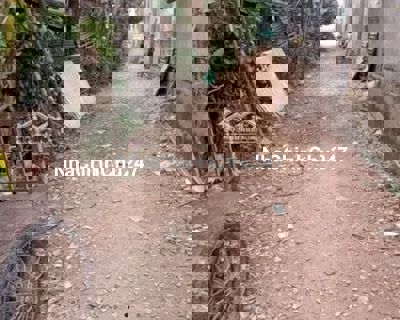 Chính chủ bán rẻ 65,8m2 đất thổ cư thị trấn An Châu, giá 385tr bớt lộc