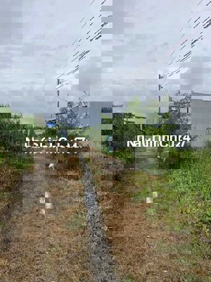 Chủ kẹt tiền cần bán gấp 150m2 Đất - Giá 399Tr