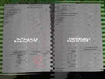 Đất lúa_Chính chủ cần bán_Giá tốt