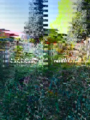 Đất nền riêng chính chủ