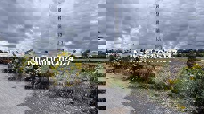 Chính Chủ Ngộp Nợ bán gấp 1527m2 LUA mặt tiền xe tải giá 1,39T Tân Lân