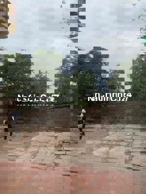 Chính chủ bán đất 173m - giá đầu tư - xây ccmn quá đỉnh