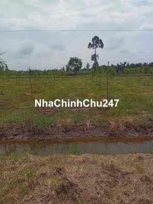 Chính chủ cần bán đất nông nghiệp