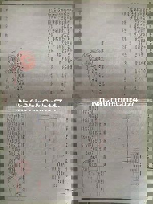 CHÍNH CHỦ NGỘP – CẦN BÁN GẤP 📍 ĐẤT SỔ HỒNG RIÊNG – VĨNH LỘC B,