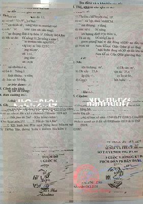 Chính chủ cần bán 166m² đất mặt tiền Tân Hiệp 8-1 Hóc Môn