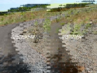 Chính Chủ Cần bán lô đất nền đã có sổ hồng