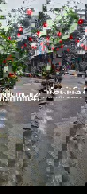 Cần bán nhà cấp 4 chính chủ