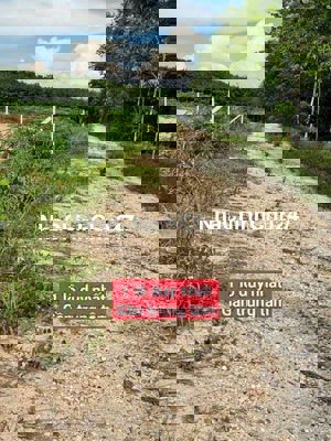 Chủ cần tiền bán gấp đất