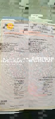 Hót nhà vườn siêu mát mẽ siêu rẻ chính chủ