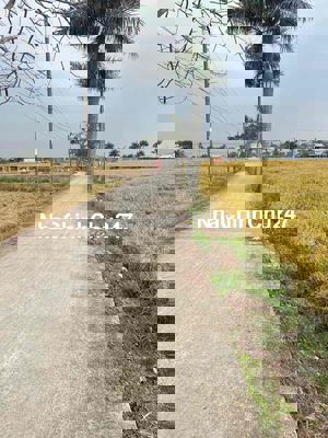 CHÍNH CHỦ BÁN ĐẤT PHƯỚC TUY – CẦN ĐƯỚC